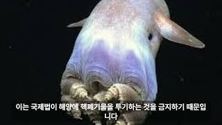 마리아나 해구에 관한 흥미로운 사실들