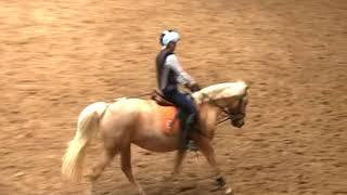 REITEN und ZUCHT-Video Reitlehre: Falsches Angaloppieren