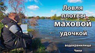 Ловля плотвы на маховую удочку.Маховая удочка для начинающих. Водохранилище Чики.