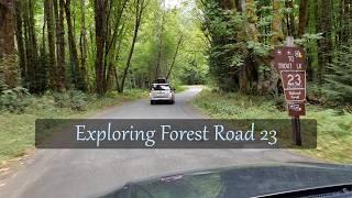 Exploring Forest Road 23 in Washington State