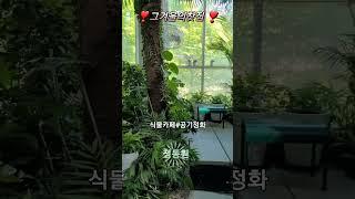 정동원  그겨울의찻집 #식물원 카페