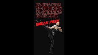 Round Kick To Side Kick To Spinning Back Kick |No 707