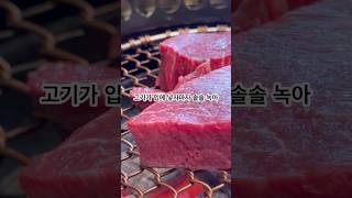 #유료광고 여의도 살살 솔솔 녹는 고기 맛집, 프라이빗한 룸에서 고기와의 데이트 ㅣ 나무가든동여의도점