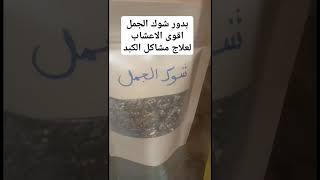 #بدور_شوك_الجمل
