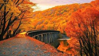 RELAXING AUTUMN November Beautiful New England Fall FoligaeGreat Relaxing Music ~ Cozy Autumn Vibe