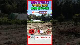 569 냉수리주말농장매매 도로 아주 잘 접한 신광주말농장매매  원하는 면적 분할 가능한 포항주말농장매매 도움산부근 포항전원주택부지매매 신광부동산 포항부동산 지목부동산 shorts