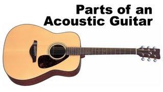 Parts of an Acoustic Guitar Tutorial for Beginners (Guitar Lesson)