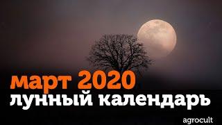 Лунный посевной календарь от Агрокульта. Март 2020.