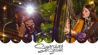 Kuf Knotz & Christine Elise - Higher - Jackie Wilson Cover (Live Music) | Sugarshack Sessions