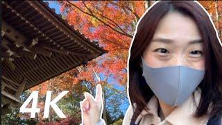 Autumn in Mt. Takao - Tokyo's Best Side Trip!