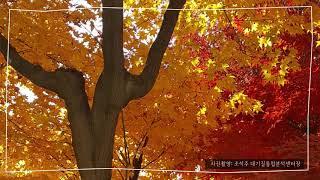 집콕응원!! 보건환경연구원 랜선나들이