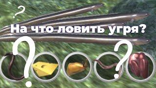 На что ловить УГРЯ? | Ultimate Fishing Simulator | Сент-Дод