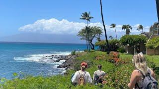 WE SWAM WITH TURTLES || DAY ONE MAUI VLOG