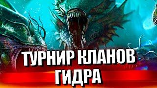 Стрим № 356 Капитан Пёсик Raid Shadow Legends