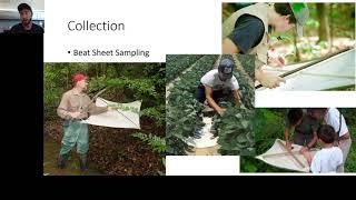 Video 12: How to Collect Insects