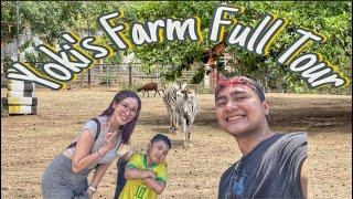 Nakahawak kami ng Zebra (Yoki's Farm)