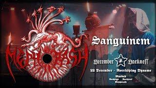 Mephorash - 'Sanguinem' -Live in Norrköping @ December Darkness 2018