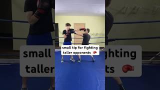 How to beat taller people  #boxing