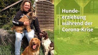 Hundeerziehung während der Corona-Krise ️ Stephanie Salostowitz ️