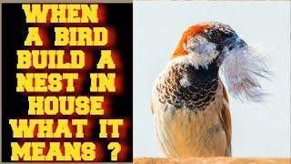 WHEN A BIRD BUILD A NEST IN YOUR HOUSE WHAT IT SPIRITUAL MEAN ?