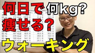 歩くと、何日で何kg痩せる? ウォーキングの科学!!