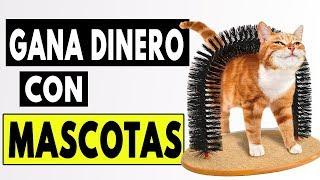 6 Productos de Mascotas para VENDER y Ganar Dinero 