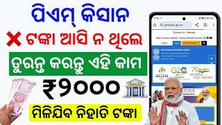 PM kisan yojana 19th installment money not received | pm kisan new registration status check Odia