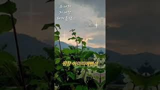 평창여행 평창펜션 소나기 봄비 꽃멍 봄여행 아미띠에펜션 강원도여행 평창가볼만한곳 #평창여행 #평창펜션추천 #평창가볼만한곳 #flowers #여행