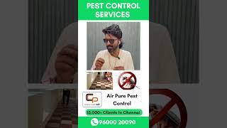 Professional Pest Control Services in Chennai | Keep Your Home Pest-Free with Crystal Clear Pro