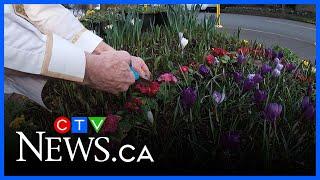 How this B.C. man is showing off his Canadian roots with a patriotic flower display