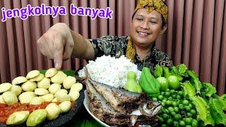 Jengkolnya banyak " MUKBANG LALAP JENGKOL MENTAH  SAMBEL TERASI ikan asin tenggiri