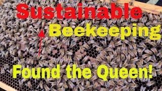 Successful hobby beekeeping!! 40% growth!