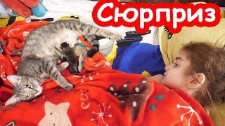 VLOG Маня родила котёнка в кроватке у Алисы