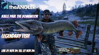 Kalle Paul The Dominator Live 21 Nov 24 Till 27 Nov 24 #COTWTheangler