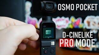 Osmo Pocket Update - PRO Mode & D-Cinelike ADDED | DansTube.TV