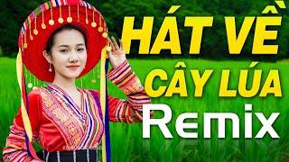 Liên Khúc HÁT VỀ CÂY LÚA HÔM NAY REMIX - Nhạc Đỏ Cách Mạng Thời Bao Cấp Remix Bass Căng Hào Hùng