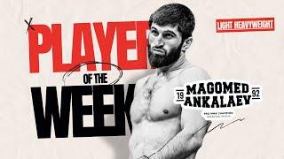 Magomed Ankalaev - Highlights [HD]