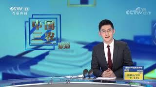 《中国三农报道》 20210204|CCTV农业