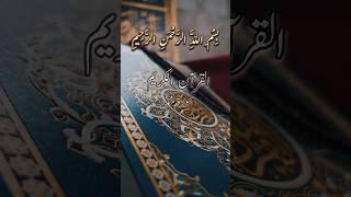 Surah Mohammad #quran #surah #mohammad #mohabbat #trending #shorts #shortfeed #viralvideo #vlog