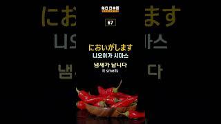 일본인이 평소 자주 사용하는 기초 일본어 #017 #생활일본어 #일본어회화 #일본어공부 #일본어 #기초일본어 #생활 #여행일본어 #여행