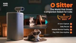 HHOLOVE O Sitter: Smart Companion Robot For Cats