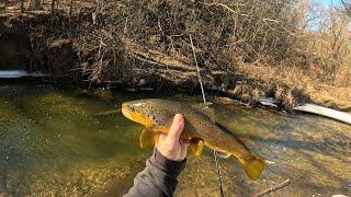 Wisconsin Trout Fishing - 3/1/2025
