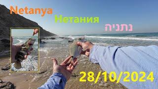 4K 28/10/2024 Netanya Нетания נתניה דיג рыбалка fishing