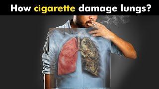 How Cigarettes Smoking Damages Lungs? (Urdu/Hindi)