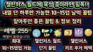 [메이플스토리 맑음] (조기 종료되었습니다) 챌린저스 월드 육성 중이라면 필독!! 내일 단 하루만 가능한 10~15레벨업 날먹 꿀팁 / 알아두면 좋은 꿀팁 & 정보 정리