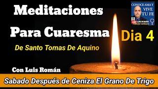 Meditaciones Para Cuaresma Dia 4 El Grano De Trigo Por Santo Tomas De Aquino