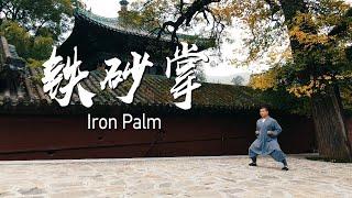 少林铁砂掌：心外无物，悟道修行 | Shaolin Iron Palm