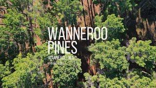 Wanneroo Pines, Wanneroo WA