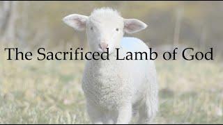 The Sacrificed Lamb of God