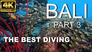 4K THE BEST DIVING IN BALI / TULAMBEN / PART 3 / Relax music / 2022 /